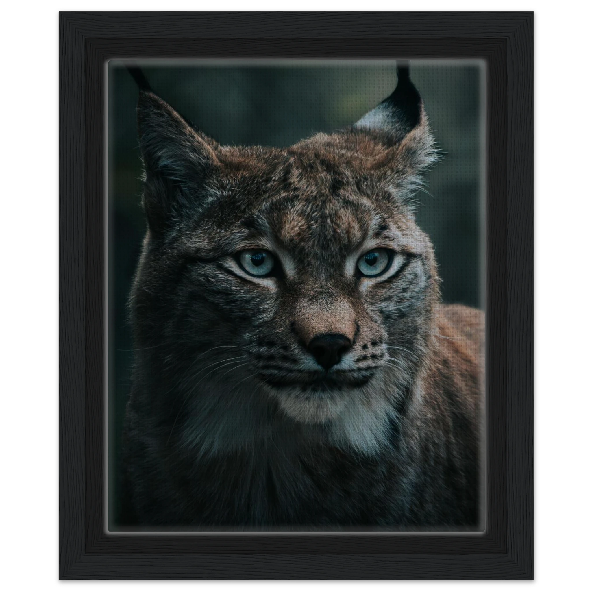 0320b55b-d755-43ff-9896-04dd4a4960a1