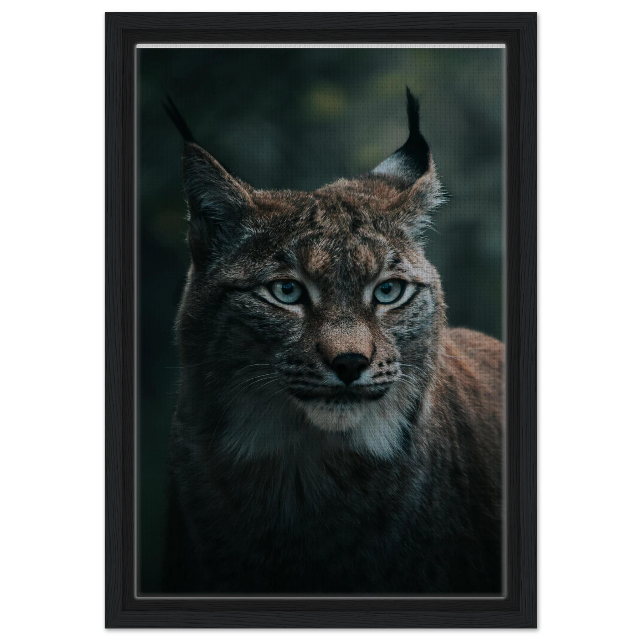 15dc6eee-e3f5-474f-88a5-382d2539426d