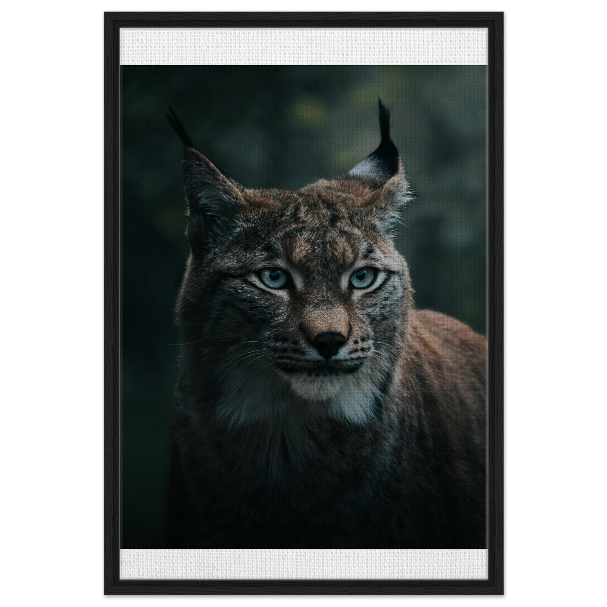 171c3984-c691-46b5-a050-9cb738ac5340