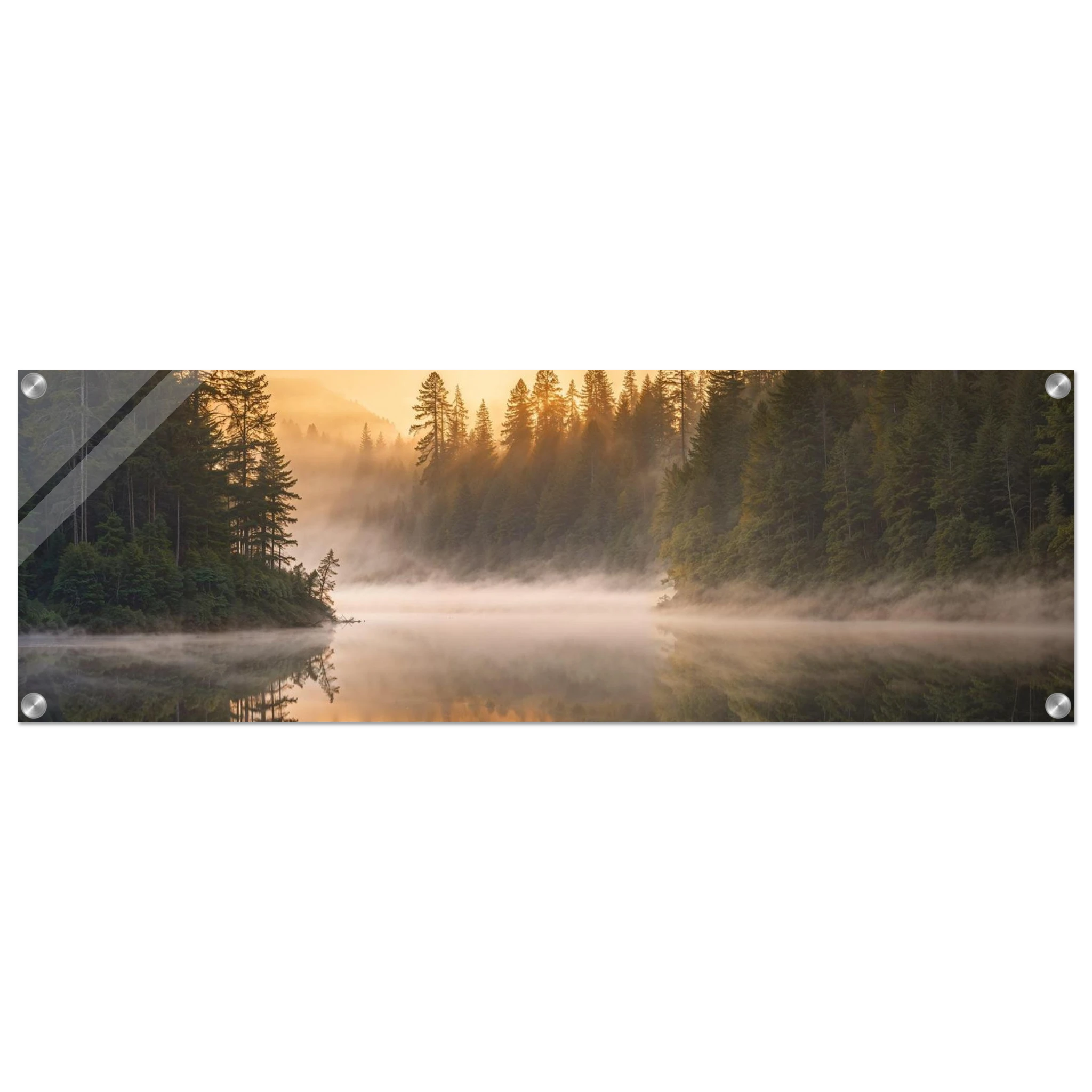 256ab38d-7ffe-4a8c-823e-e906d41c001b