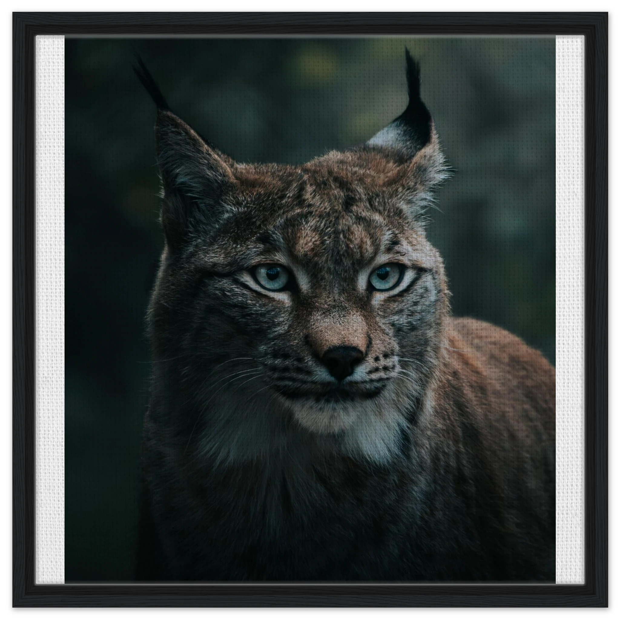 28fc51f8-4c74-4219-bdce-0f8c7e2cfca4