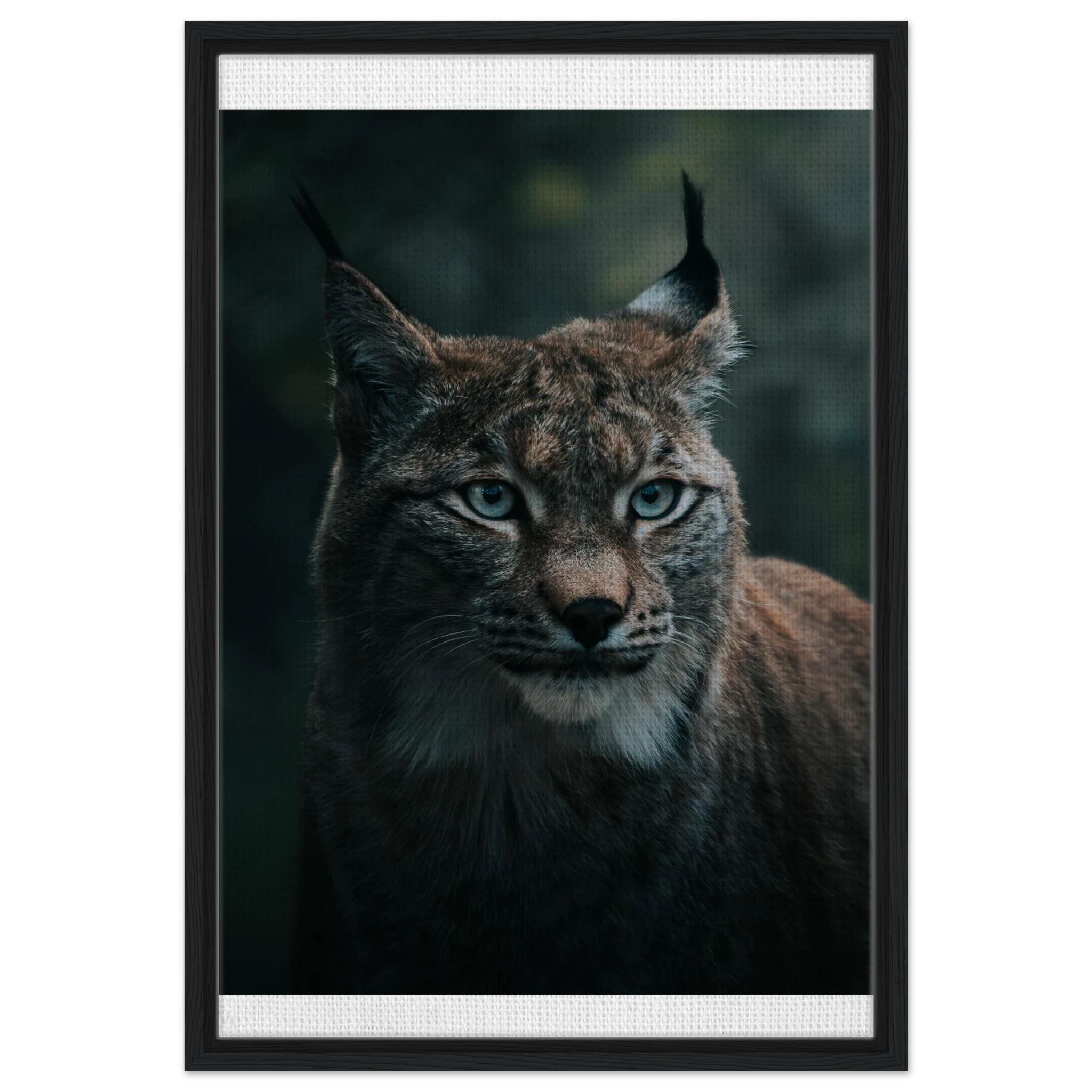 3f0768bc-d15d-437d-8a89-44f372e0e02e