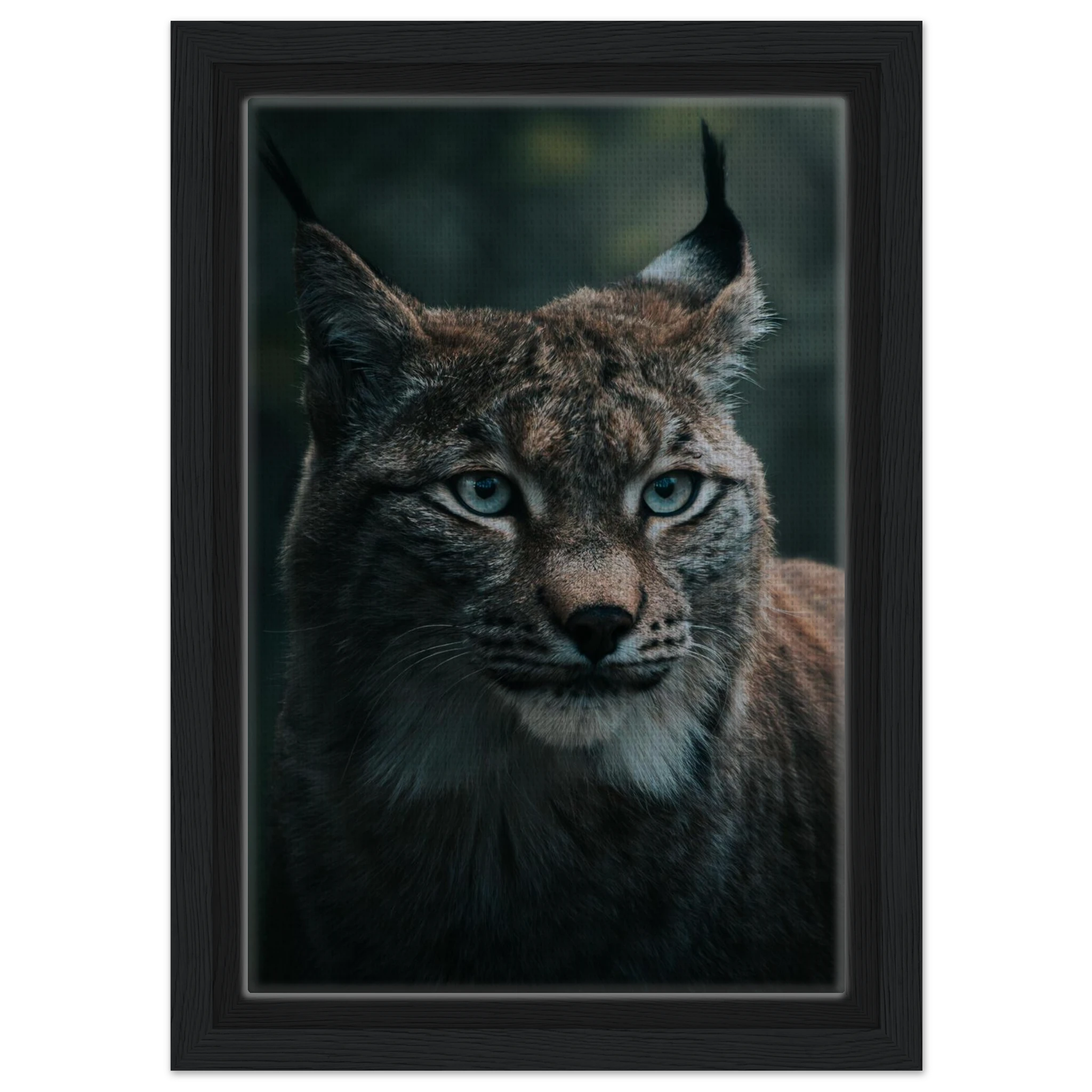 45f94b23-49be-4dd8-a264-229a04978350