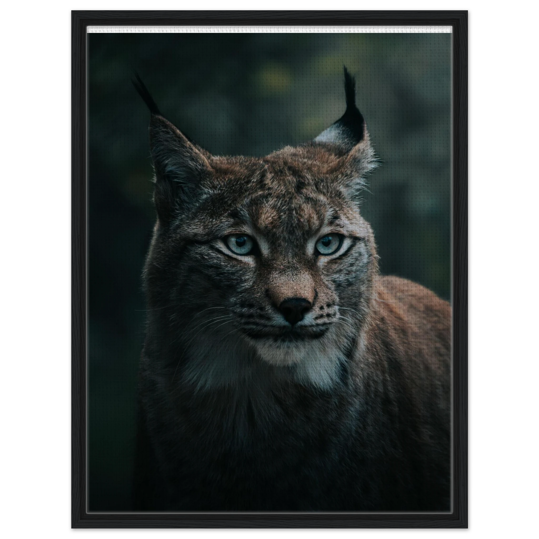 4601385c-3770-49c5-bfc3-30b082a1c2da