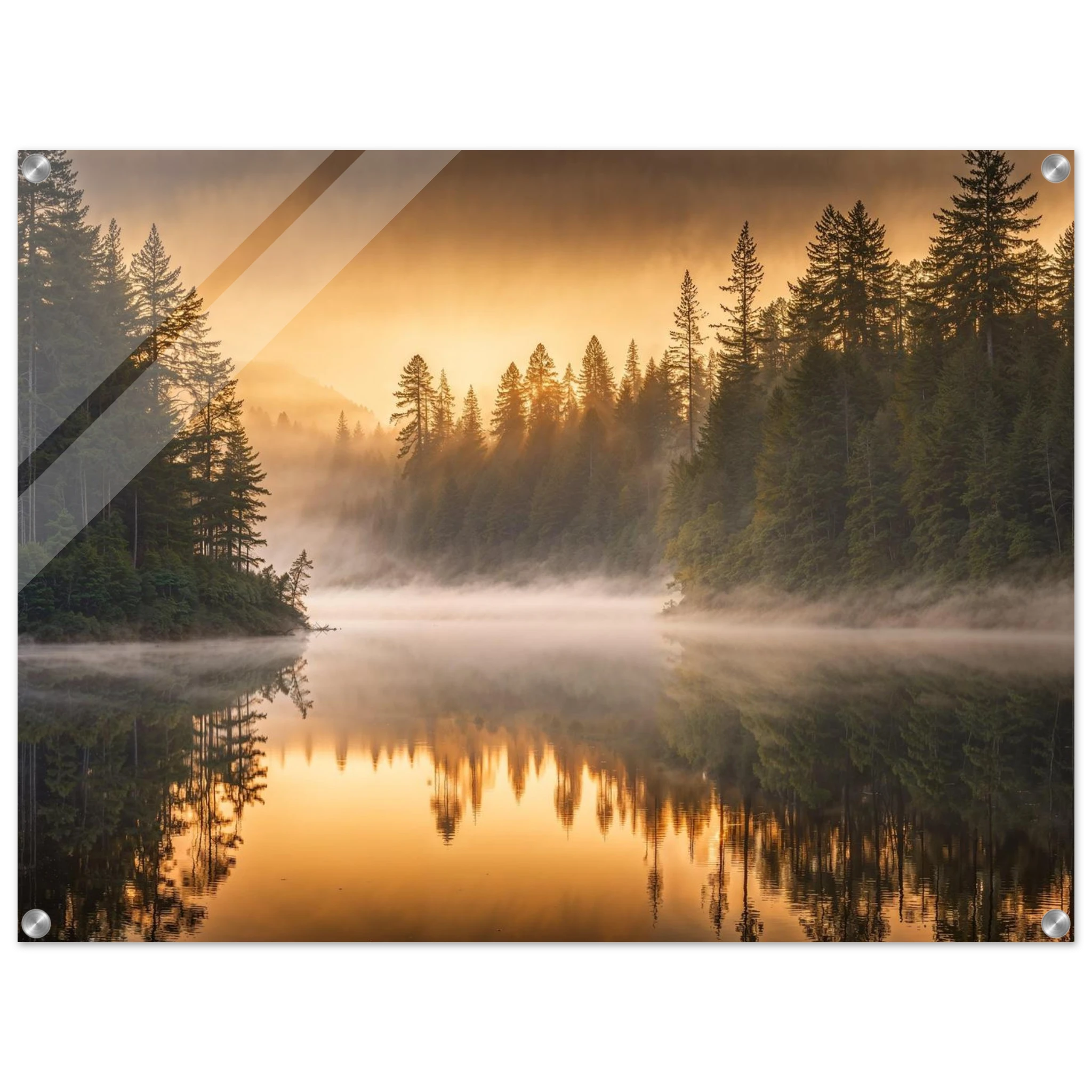 4614146c-afd7-4fb1-96eb-8ceb150c5b36