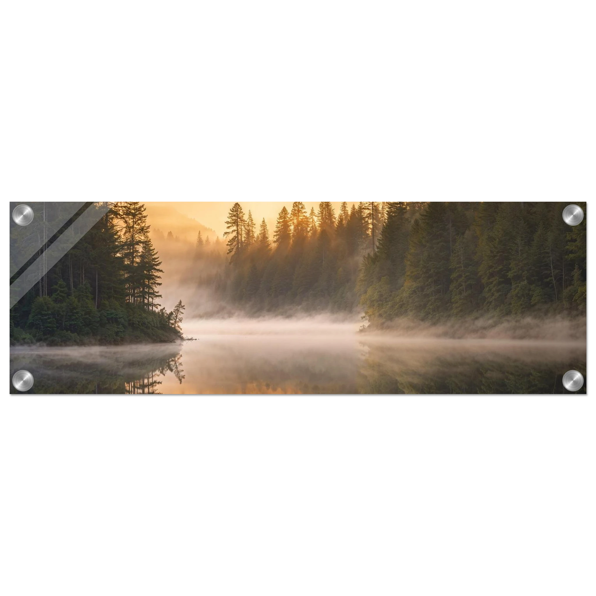 51b39a61-3f3c-45a6-8f0b-fcb511ada3f5