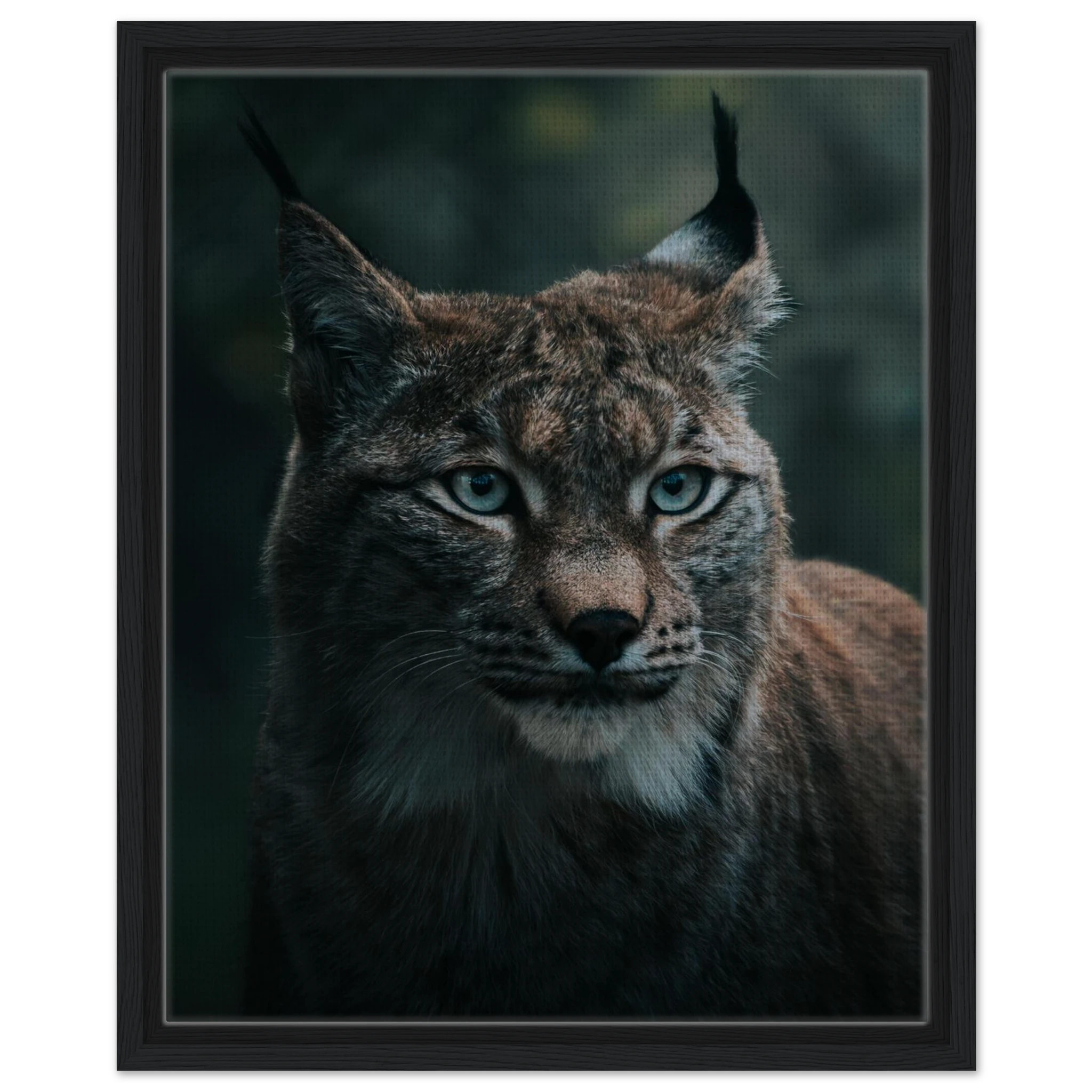 51b8453f-97ae-4d28-98b4-0b61d4c3608f