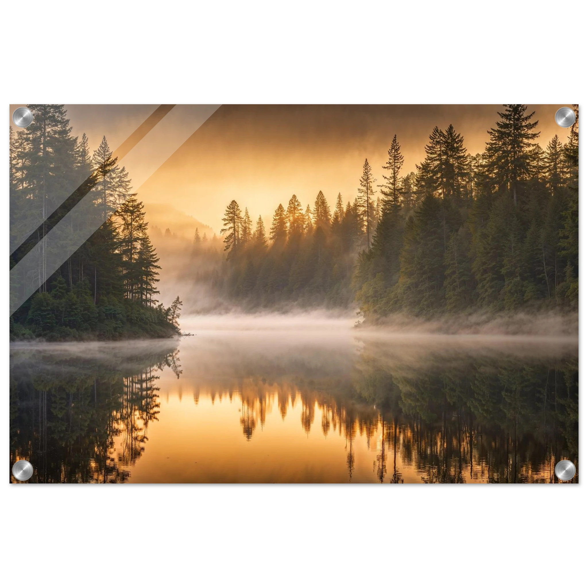 6030a381-4ba9-47ca-b53f-ed2d341cbbc1