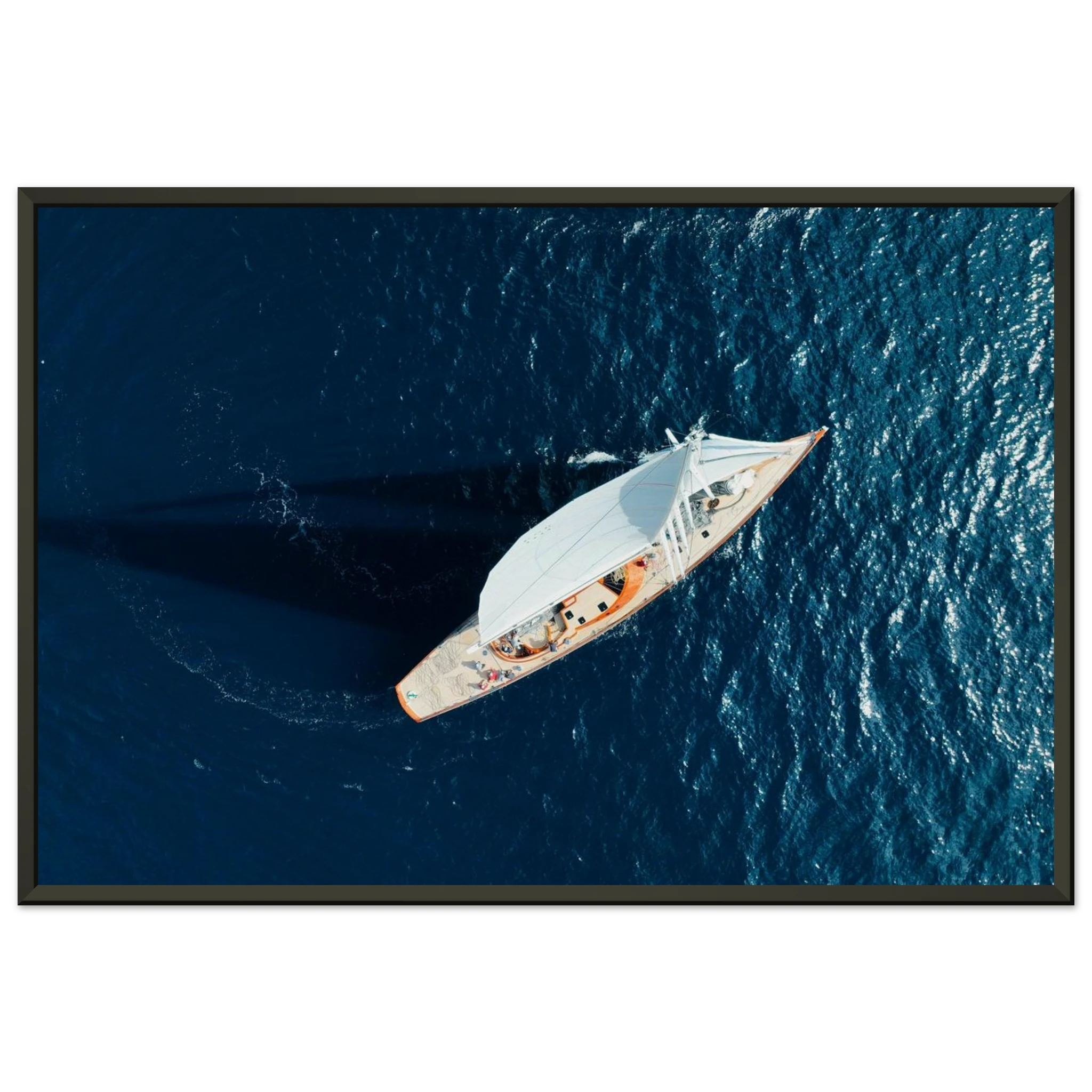 6e7c488b-a374-4c56-aad9-4958839aa337