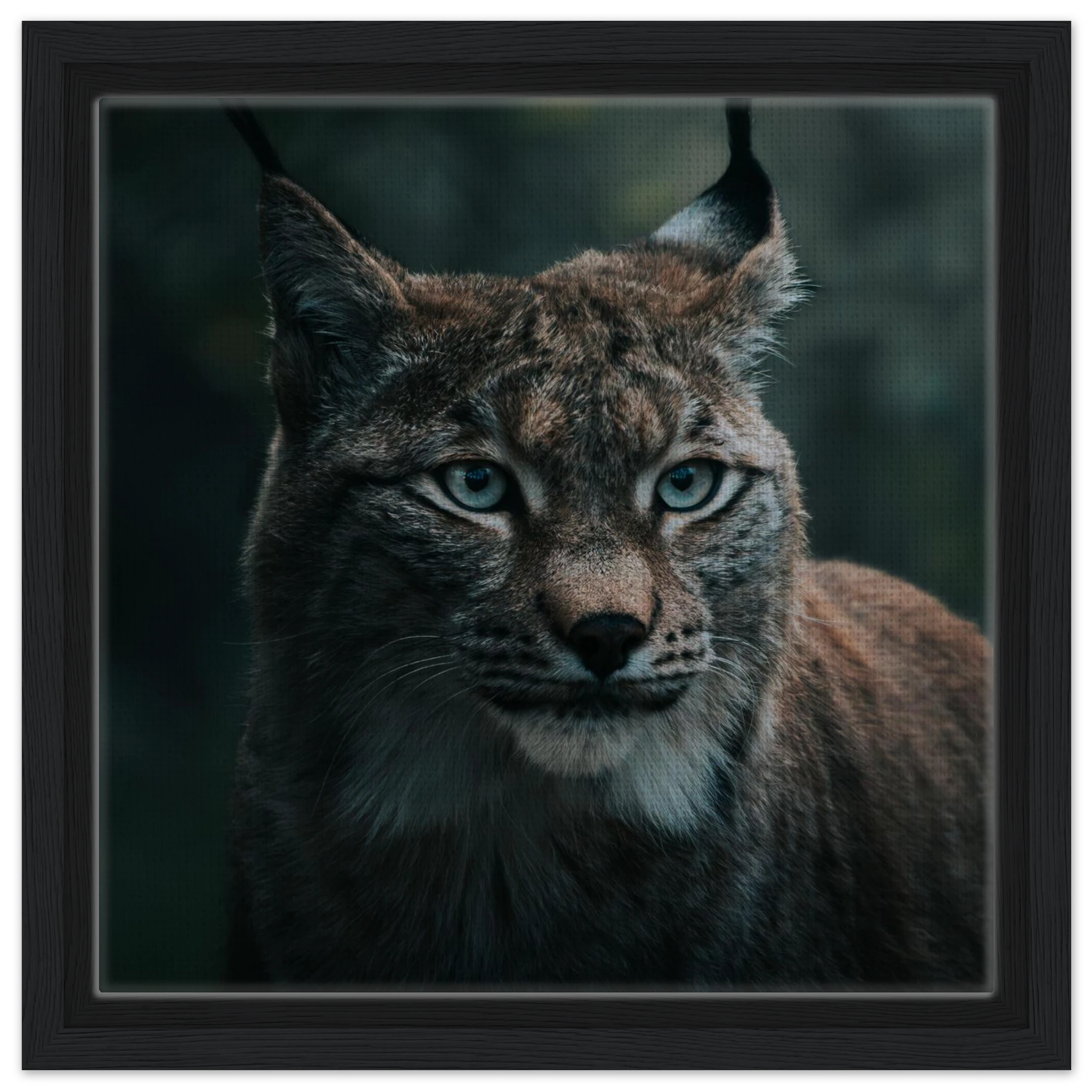 7e094dd8-cb38-4086-8e45-c022bd35faea