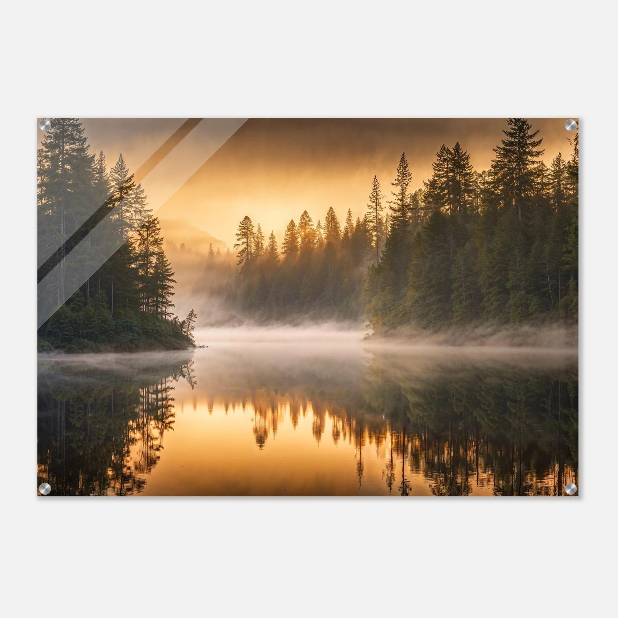 7eb3a6a7-2714-4138-9bb2-44f40cf6d50a