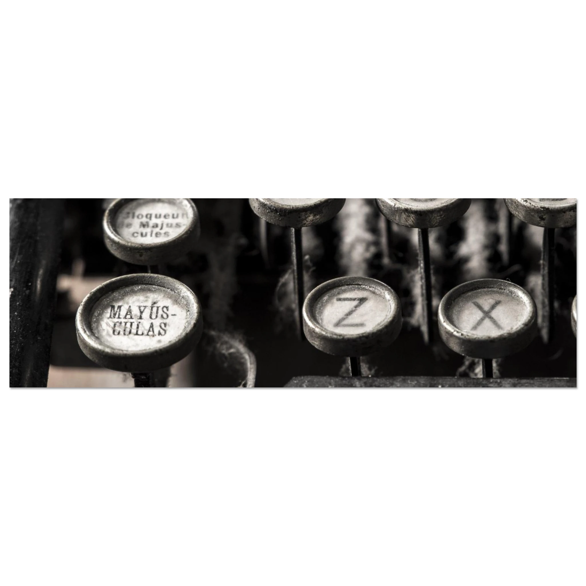 923faee3-976e-4089-bc33-64648578ecfe