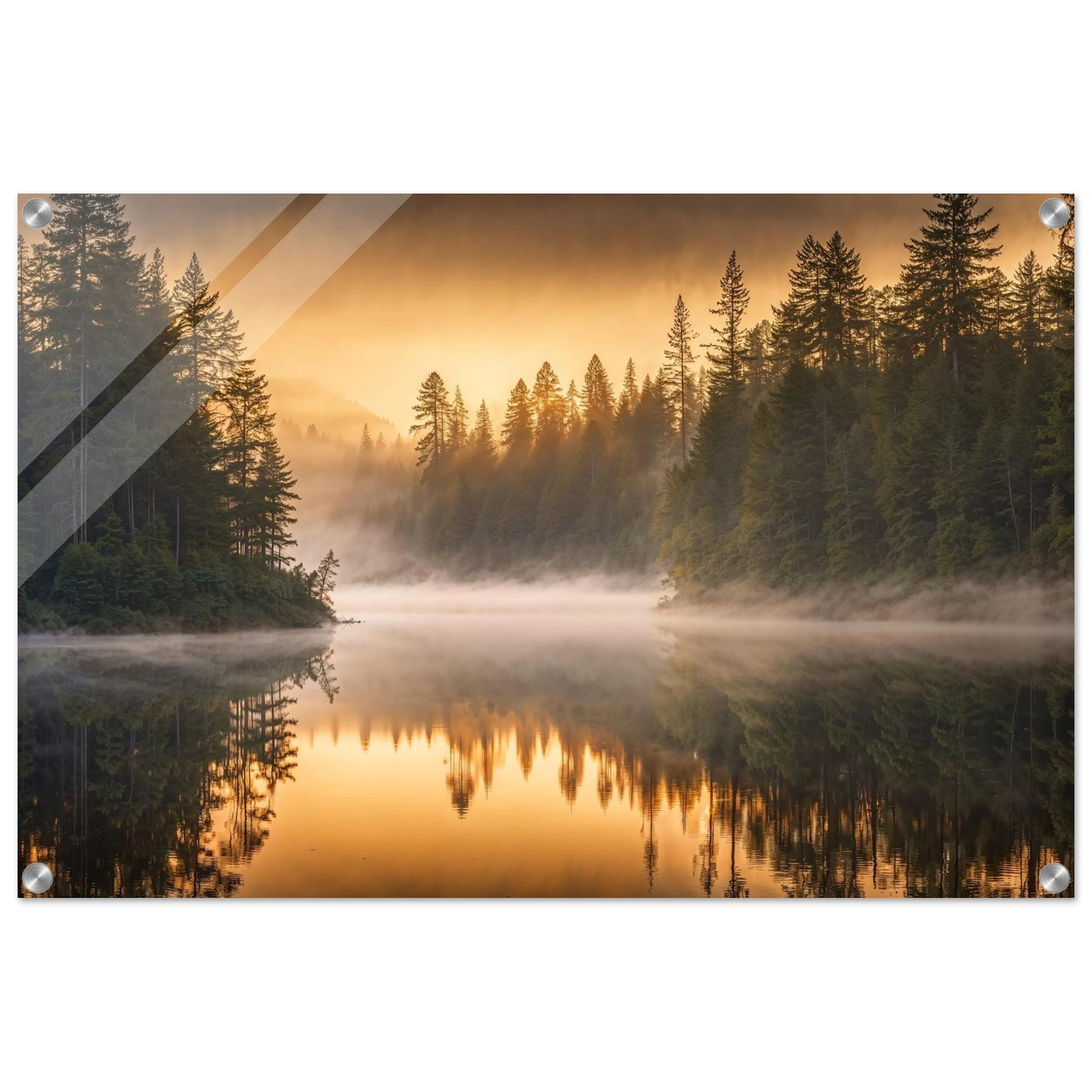 988ac432-5adf-48d5-ba72-4d4bade1aed8