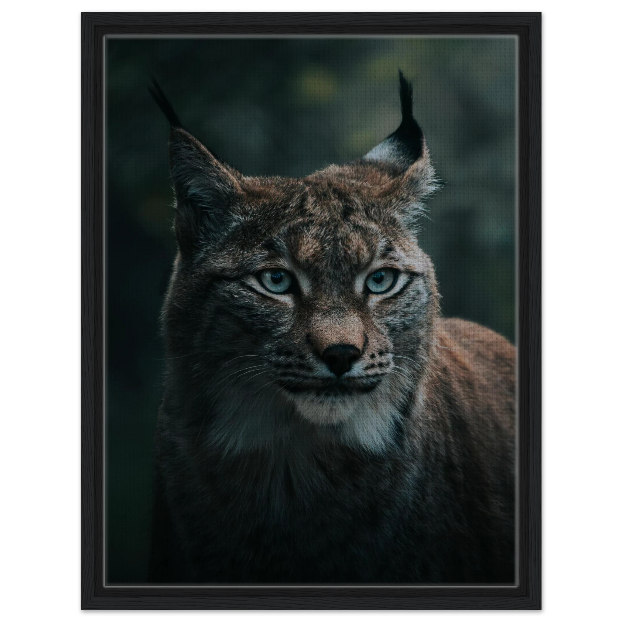 99c8f005-f2a8-40d4-8640-48c29c8c2207