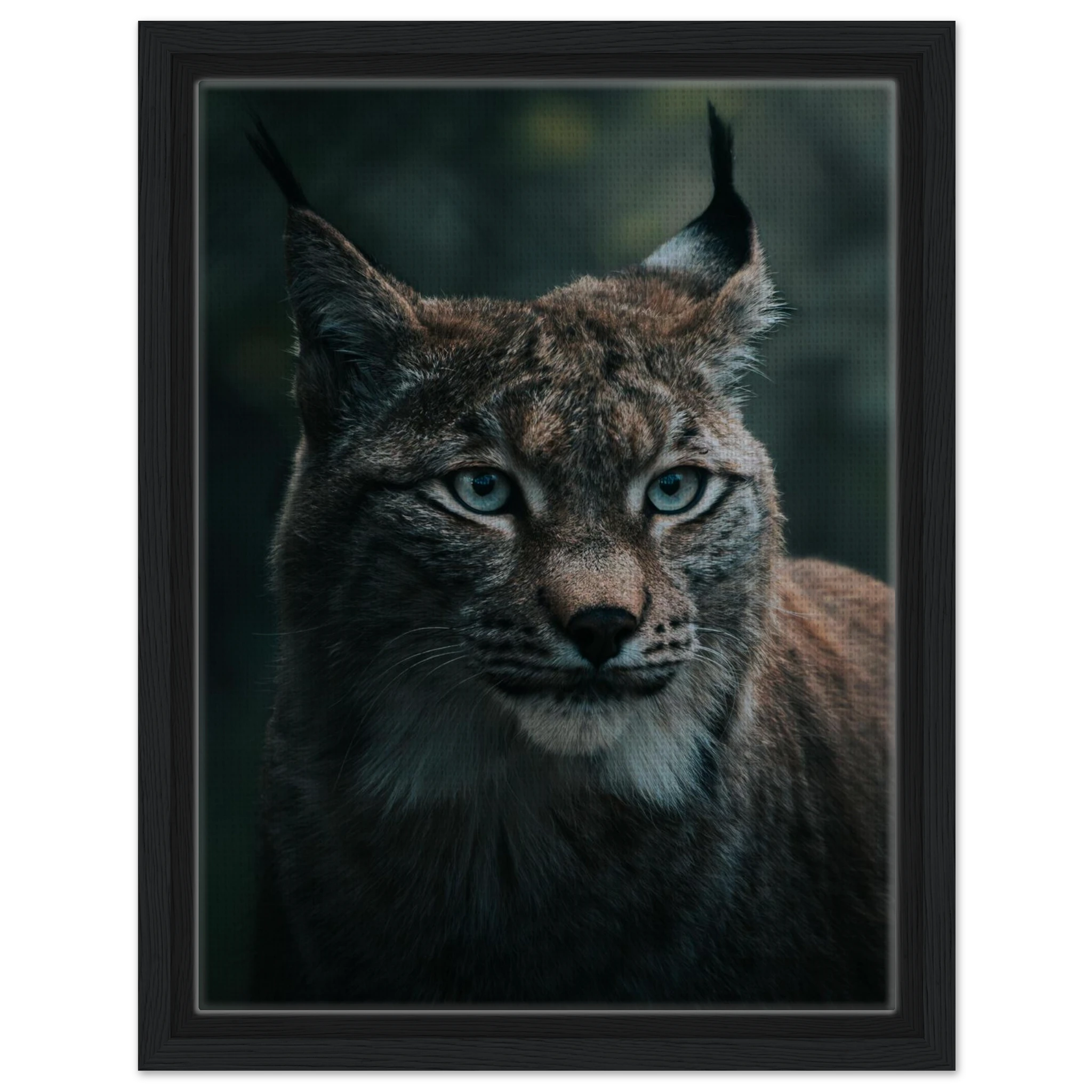 b82d8bda-e758-4951-97ef-f838db043f35