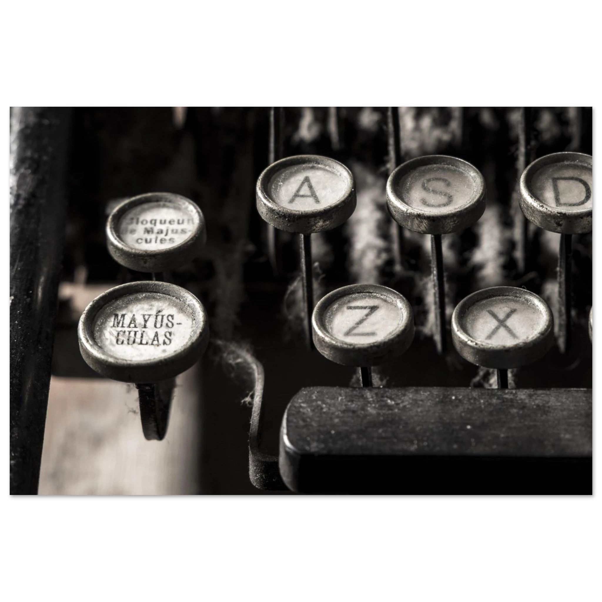 cfc6d314-65b6-4d29-a3fd-d0bfda95004e