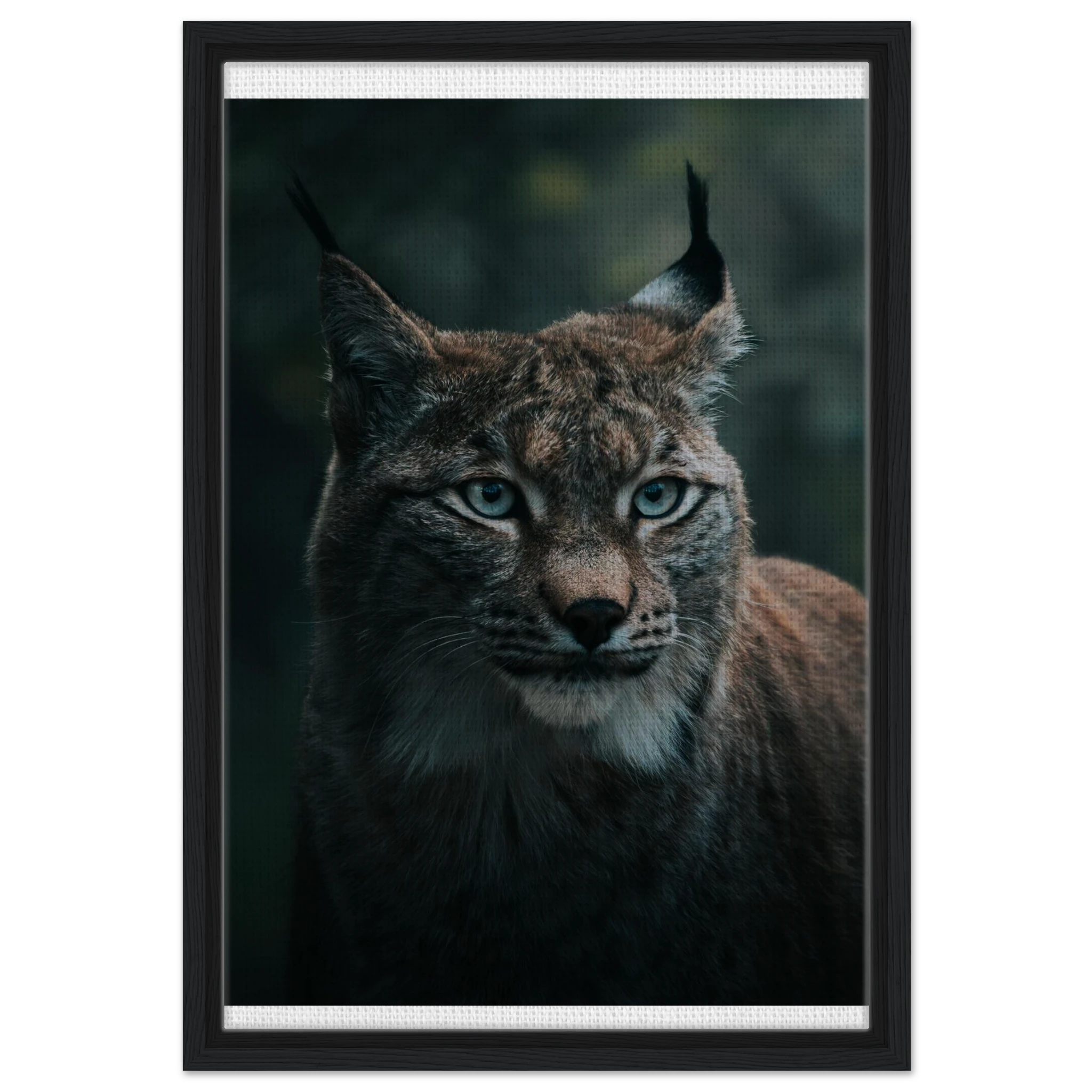 d51b9374-d55c-4bf2-a69c-aa5cb9623ce2