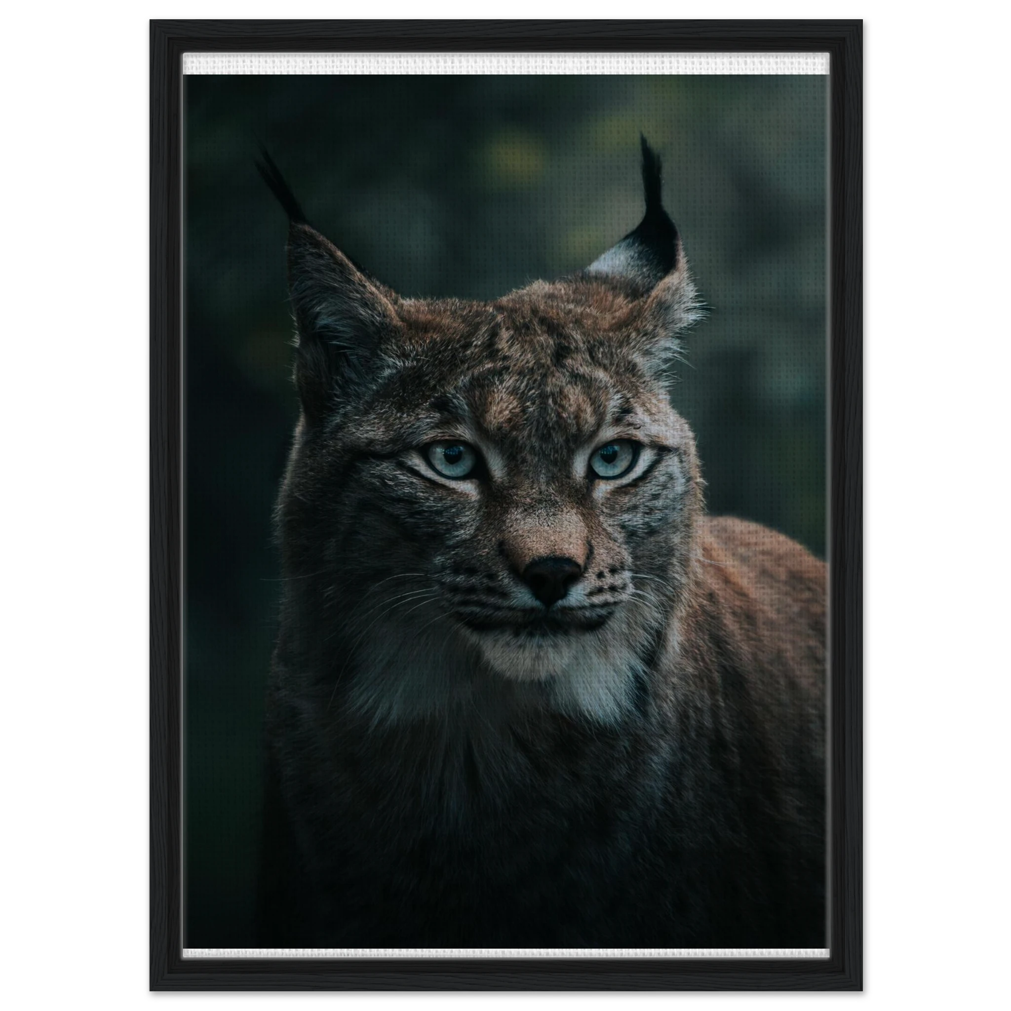 d844e035-da46-4df5-bae3-0b871fc5d608