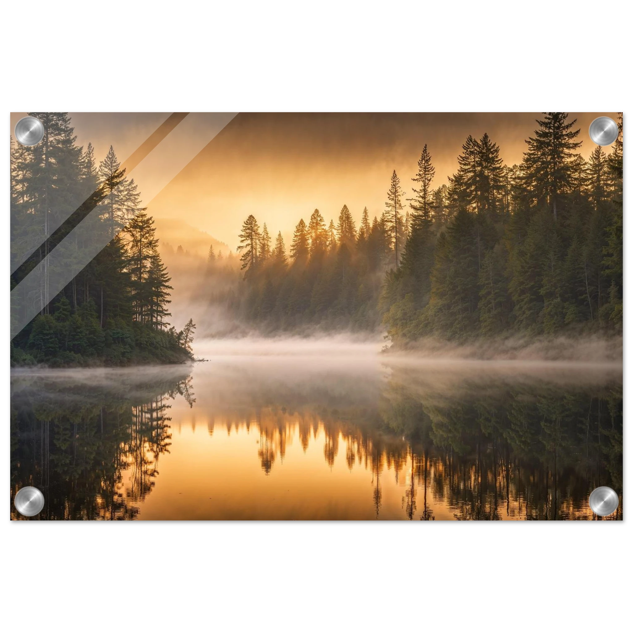 fa571e15-2746-461a-9be2-ed2e68129f8c